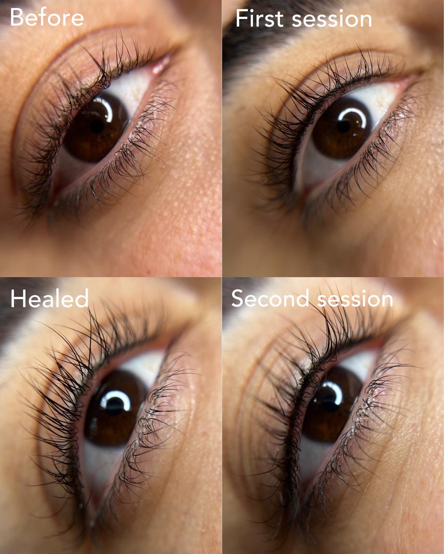 Lash Line Tattoo First Session — image 5