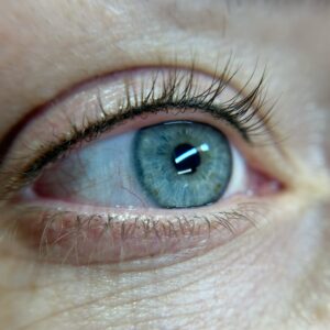 Lash Line Yearly Refresher