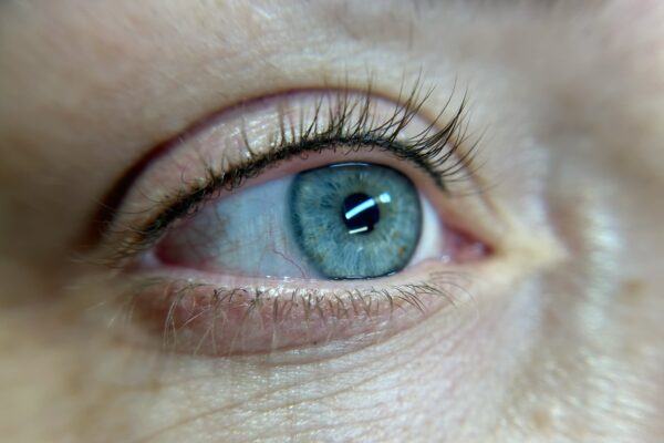 Lash Line Yearly Refresher