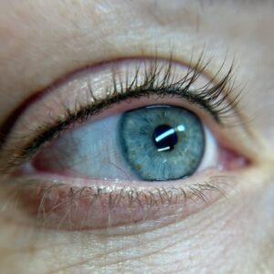 Lash Line Yearly Refresher