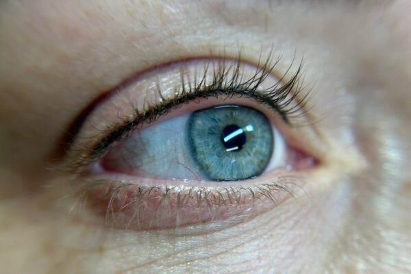 Lash Line Yearly Refresher