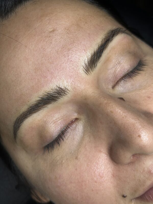 Nano Brows Yearly Refresher