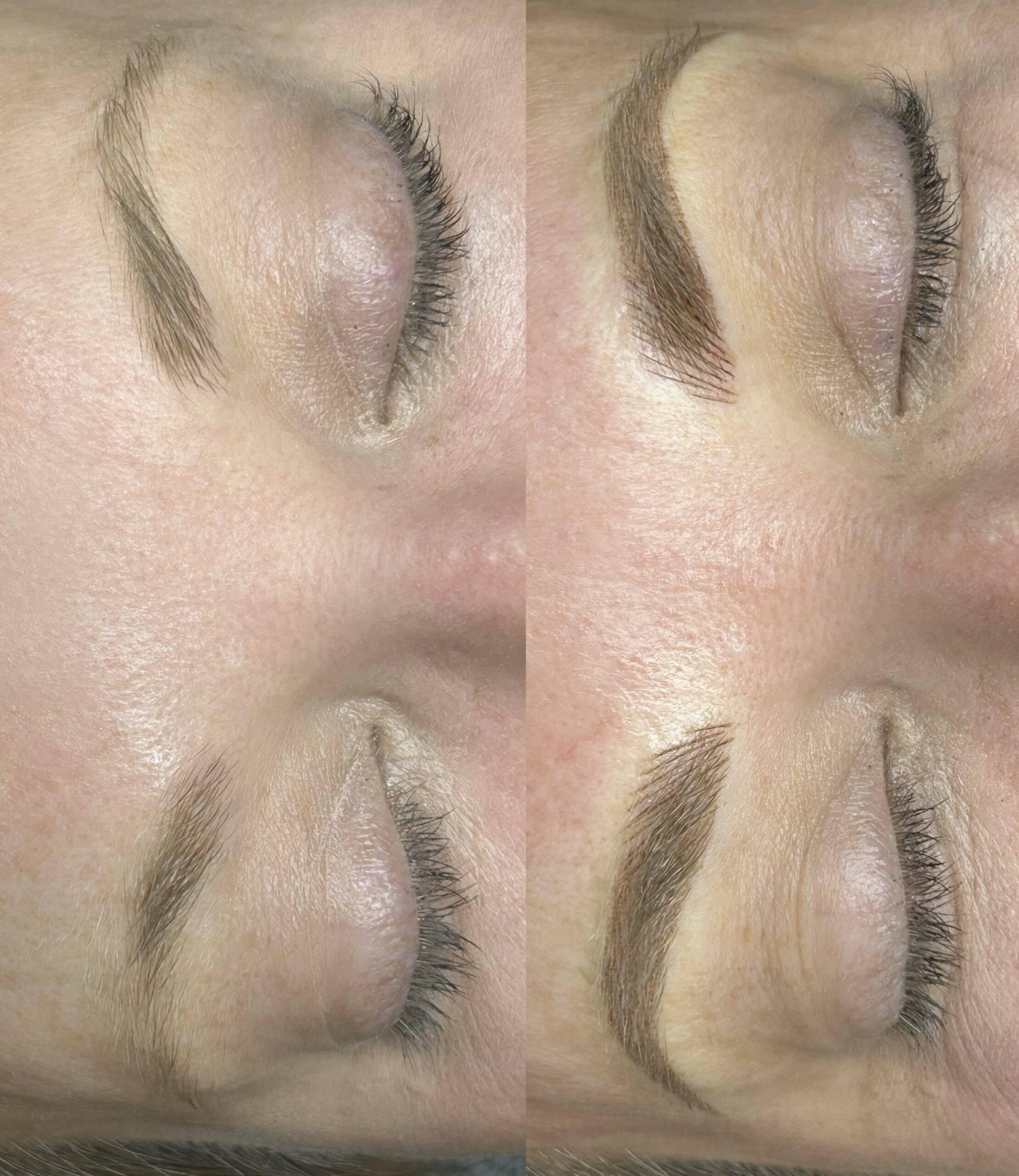 Combo Brows First Session - Image 13