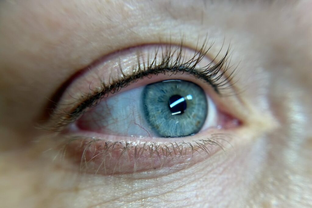 Lash Line Tattoo: Yearly Refresher — image 1