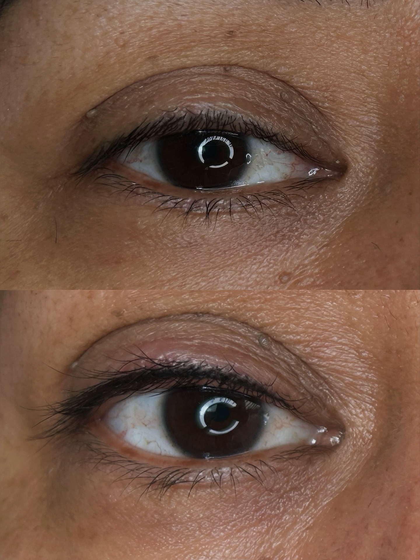 Lash Line Tattoo First Session